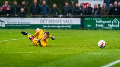 نتائج ملحق دوري أبطال أوروبا اليومتفاصيل المباريات والأهداف